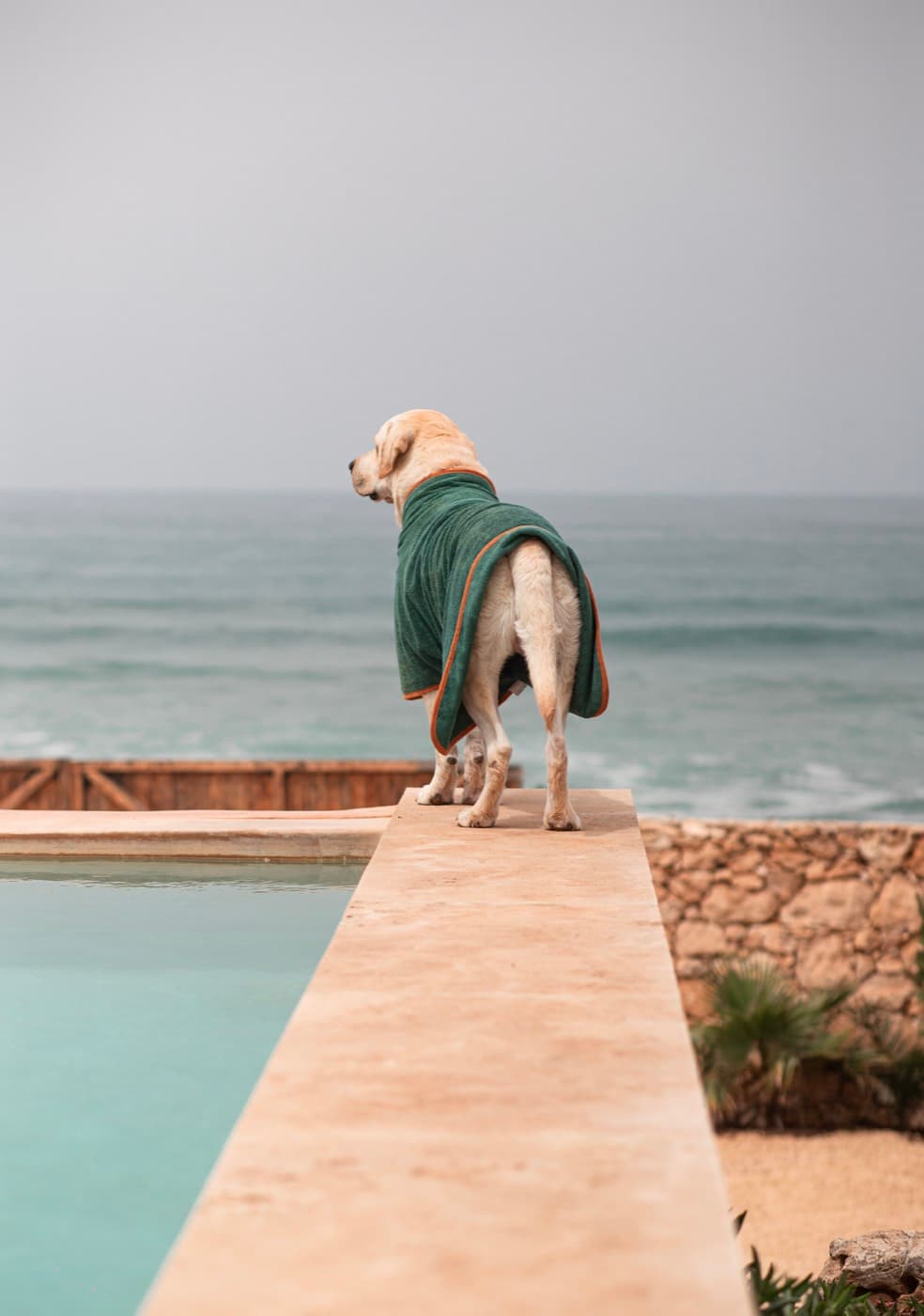 Private pool facing the beach